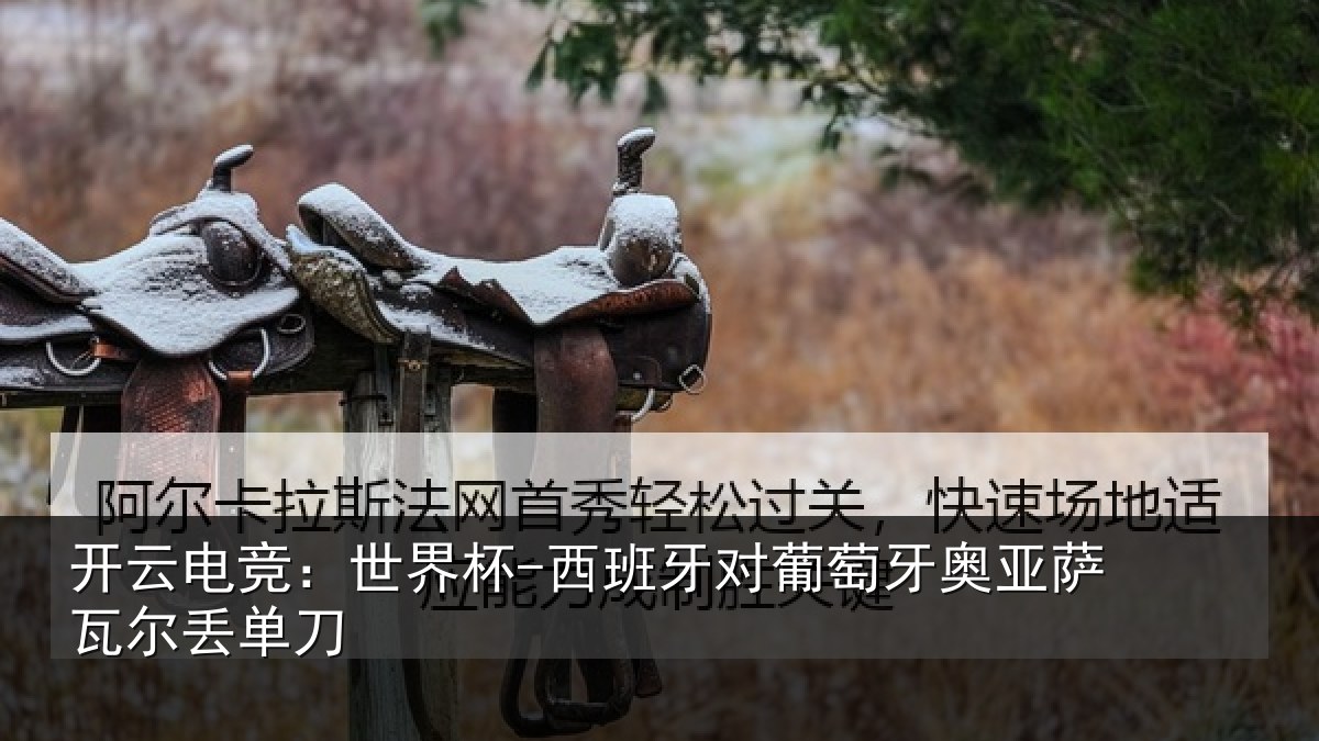 开云电竞：世界杯-西班牙对葡萄牙奥亚萨瓦尔丢单刀
