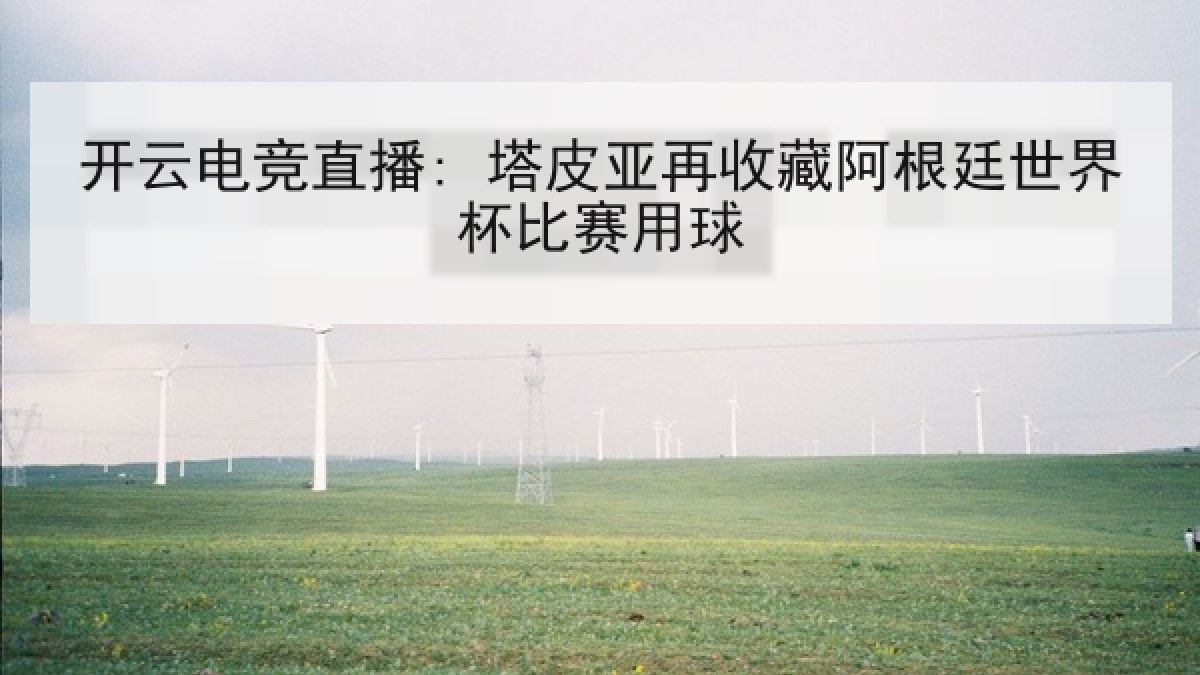 开云电竞直播: 塔皮亚再收藏阿根廷世界杯比赛用球
