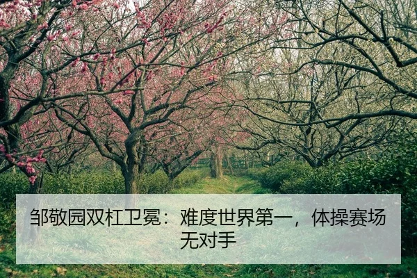 zou-jing-yuan-shuang-gang-wei-mian-nan-du-shi-jie-di-yi-ti-cao-sai-chang-wu-dui-shou-2-495.jpg