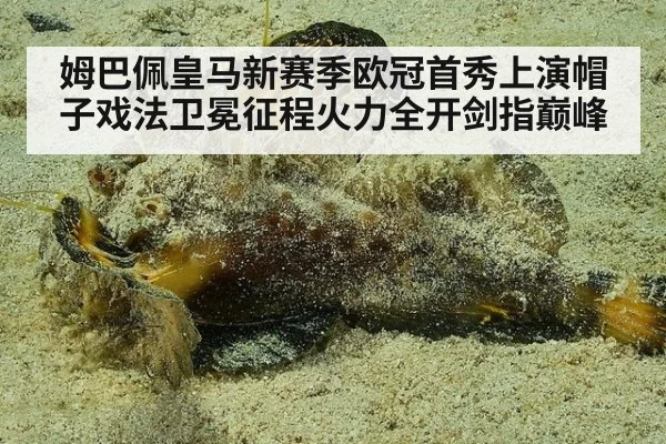 姆巴佩皇马新赛季欧冠首秀上演帽子戏法卫冕征程火力全开剑指巅峰